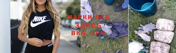 молекула духа Ахтубинск