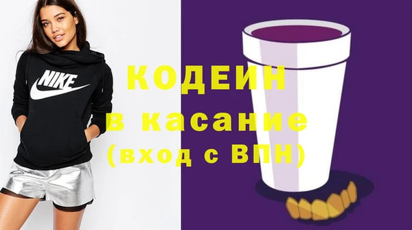 индика Бабаево