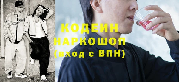 молекула духа Михайлов