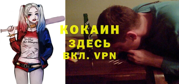 молекула духа Михайлов